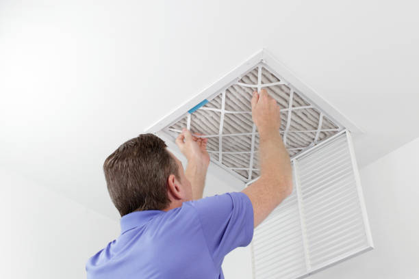 Best Air Duct Mold Removal  in Chesterbrook, PA